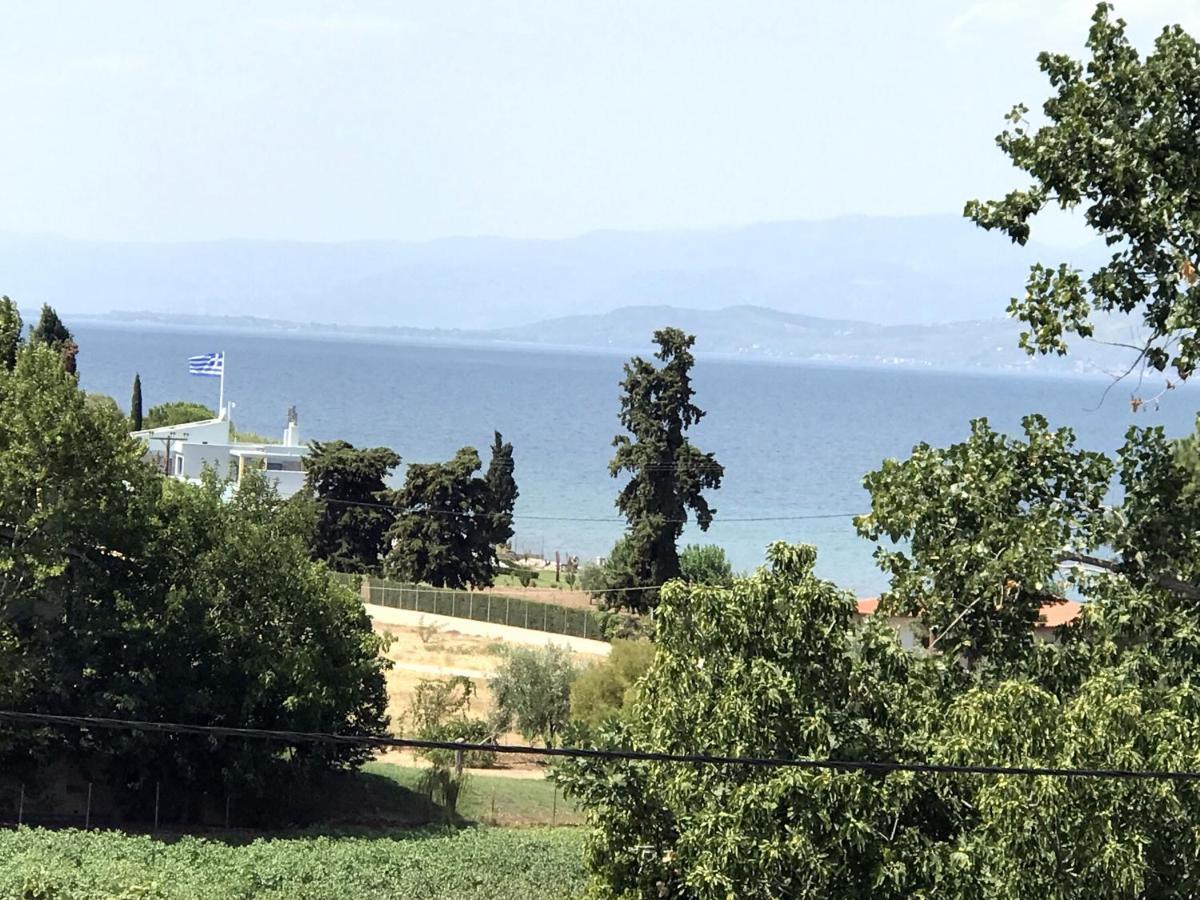 Studio Kalypso Arkítsa Buitenkant foto